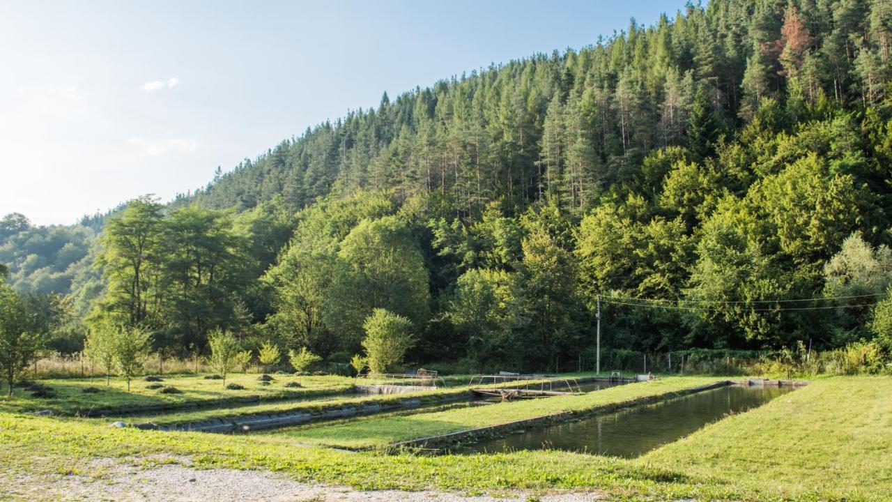 Къща За Гости Черна Река Ribarica Exterior foto